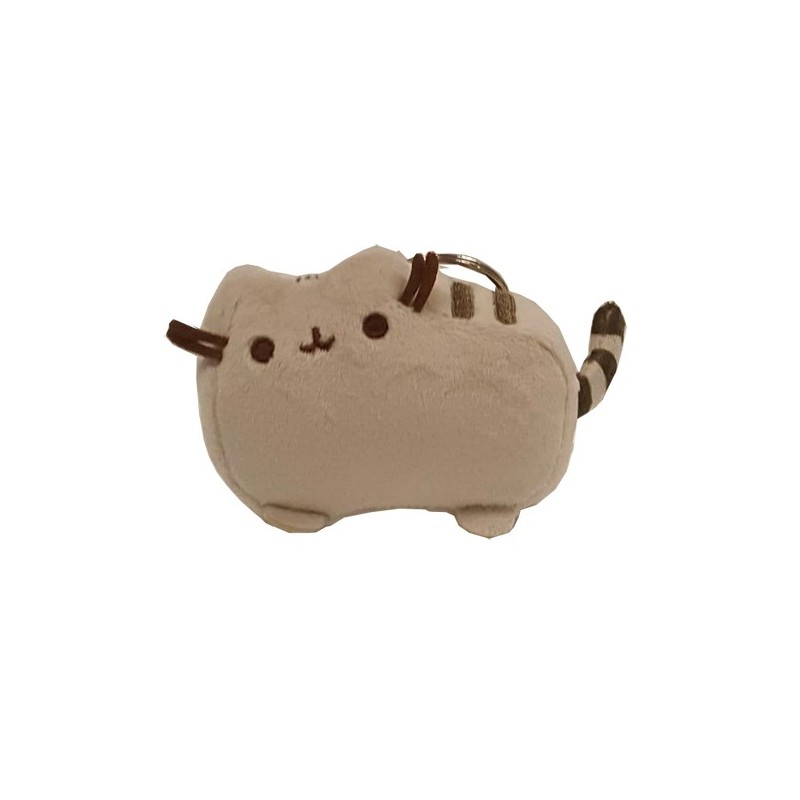 pusheen keyring