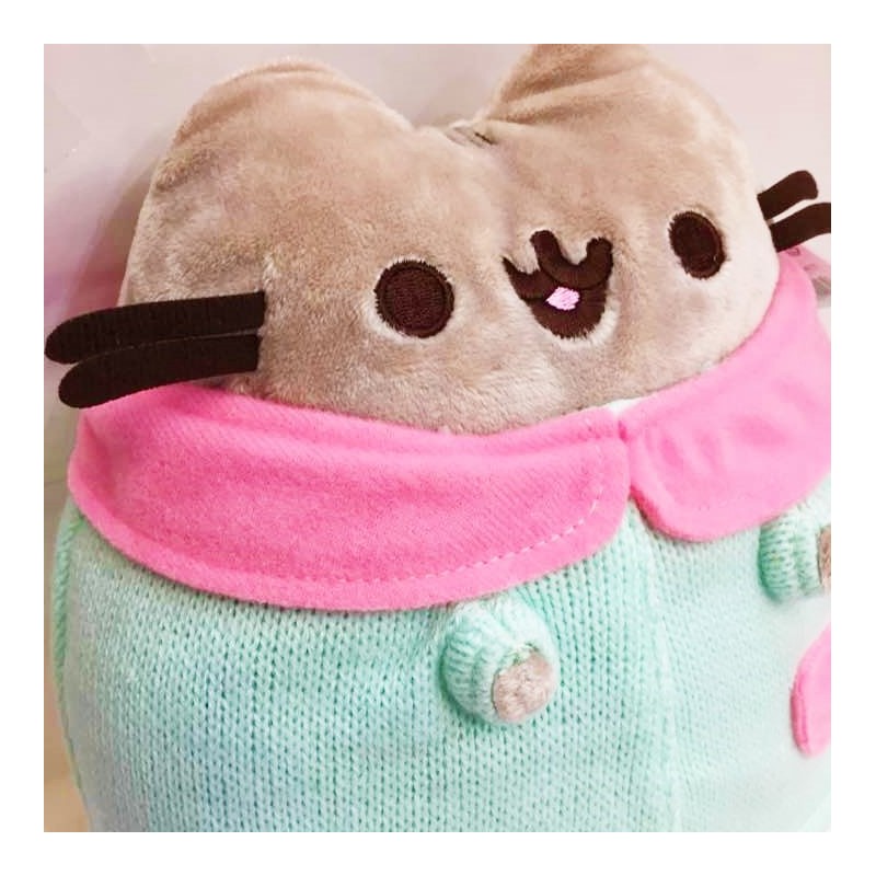 pusheen cat winter